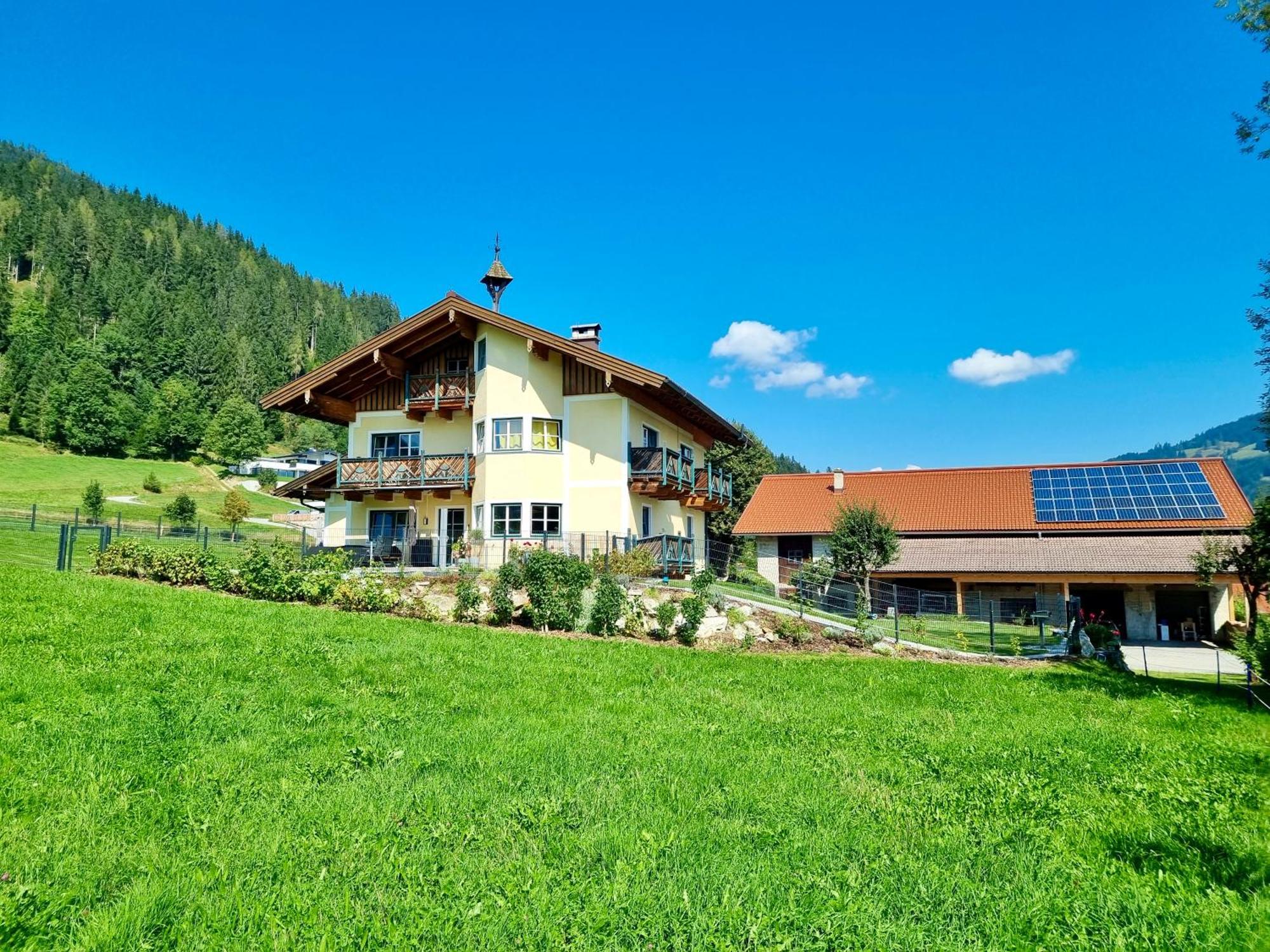 Ferienwohnung Flachau Oberlehengut Ngoại thất bức ảnh
